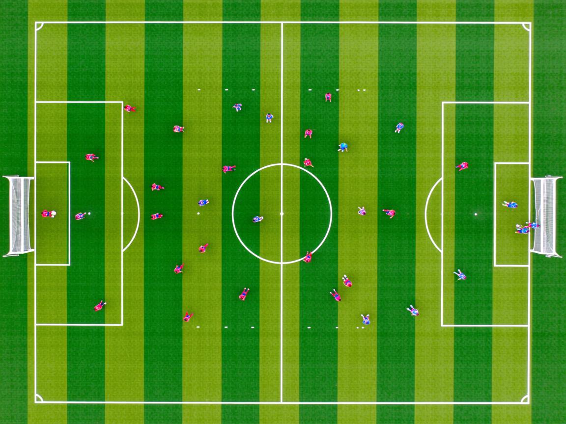 开云体育app在线-埃及赛制的优势与挑战：对运动员的影响分析，埃及 运动